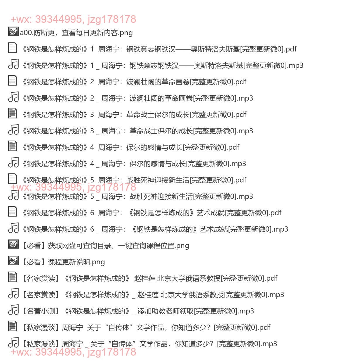 11《钢铁是怎样炼成的》 周海宁 screenshot