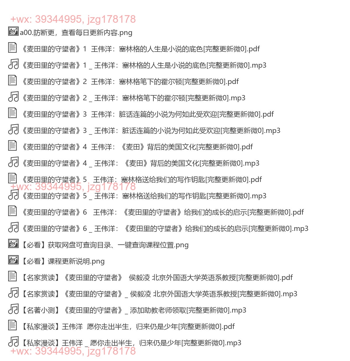 13《麦田里的守望者》王伟洋 screenshot