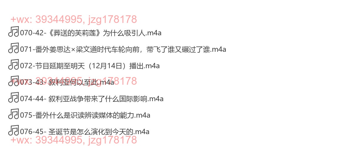 073-43- 叙利亚何以至此.m4a等多个文件 screenshot