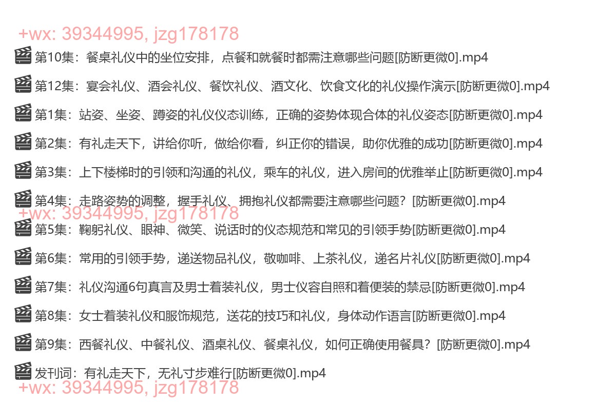 037. 周思敏：商务礼仪《有礼走天下》【完结】 screenshot
