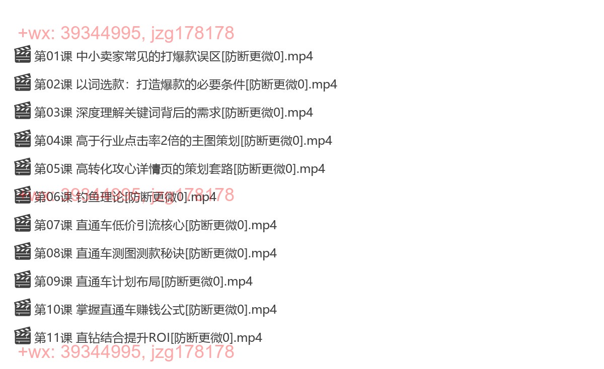 014. 老衲：直通车·打造单品爆款【完结】 screenshot