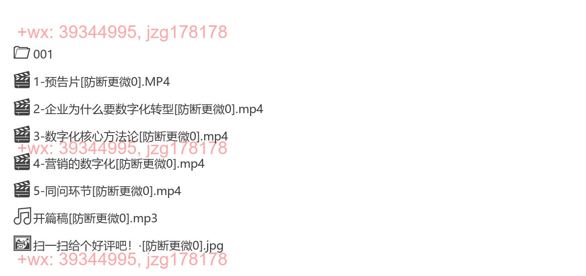 20181223企业营销的数字化转型 screenshot