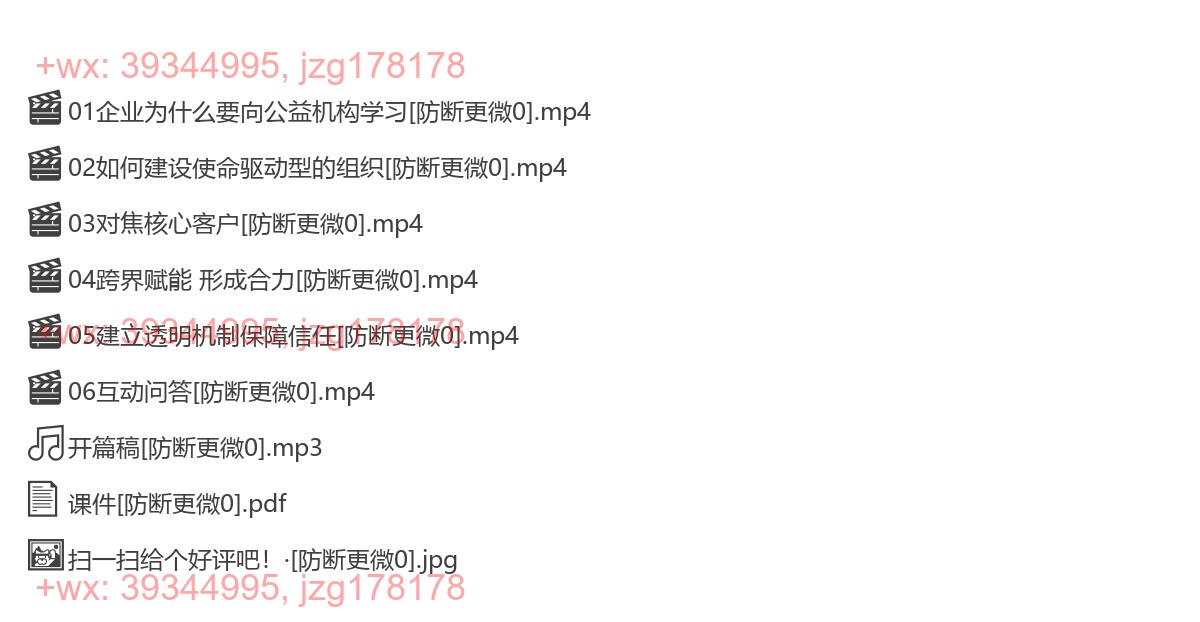 2019-01-25真爱梦想：企业可以向公益机构学习什么--潘江雪 screenshot