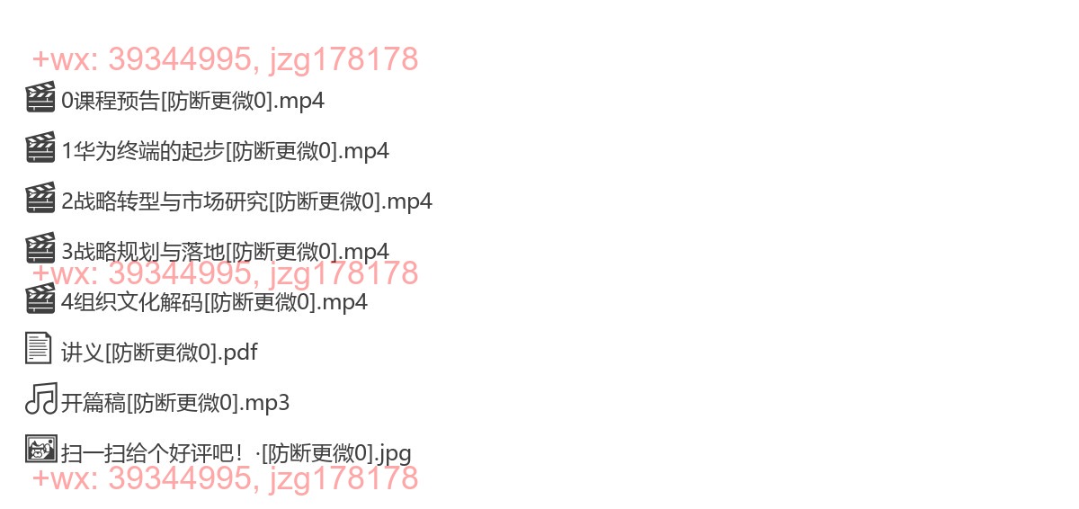 2019-02-15华为终端：战略视角看企业转型增长 screenshot