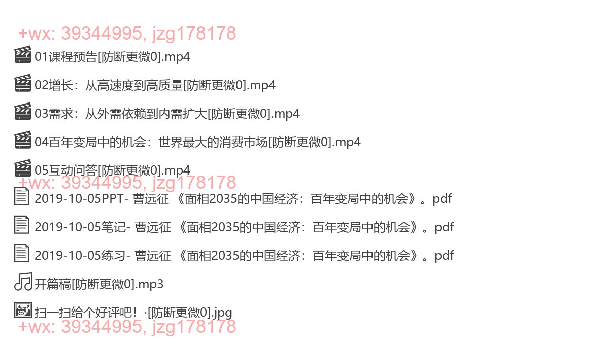 2019-10-05面向2035的中国经济：百年变局中的机会 screenshot