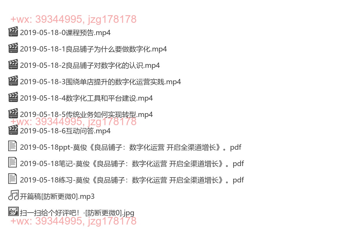 2019-05-18莫俊《良品铺子：数字化运营 开启全渠道增长》 screenshot