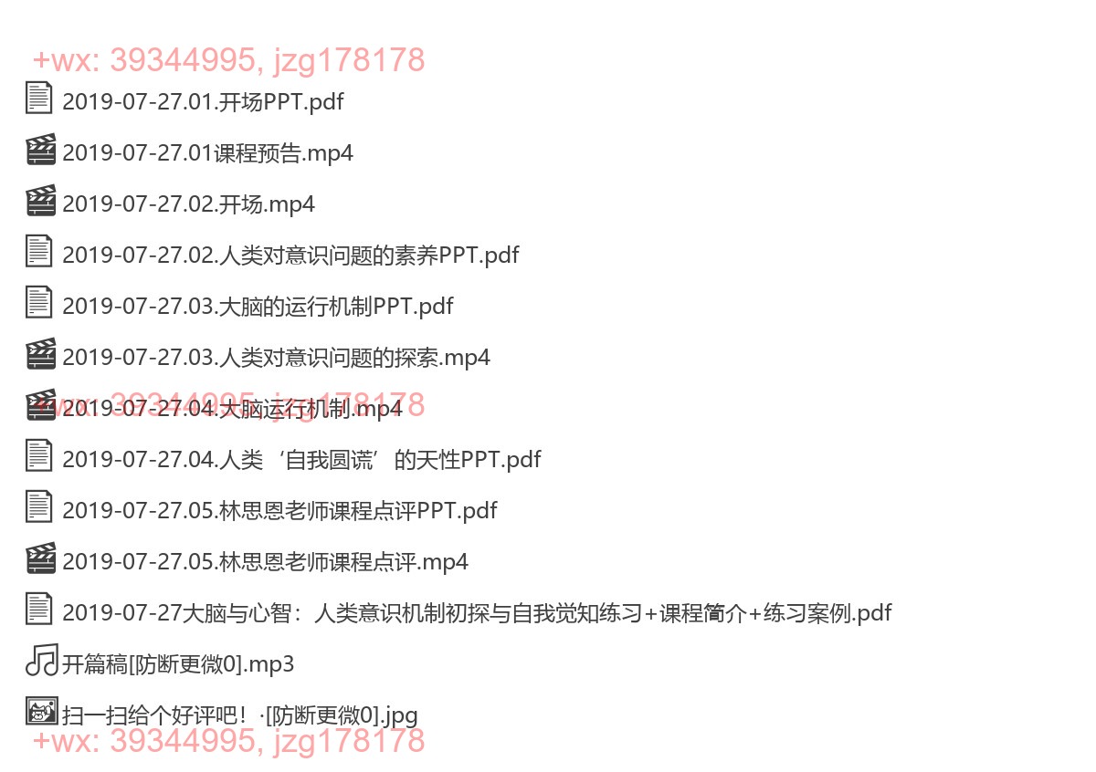 2019-07-27迈克尔·加扎尼加·大脑与心智：人类意识机制初探与自我觉知 screenshot