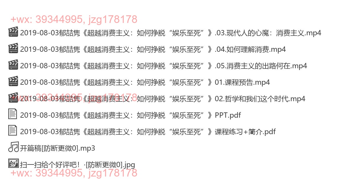 2019-08-03郁喆隽《超越消费主义：如何挣脱“娱乐至死”》 screenshot