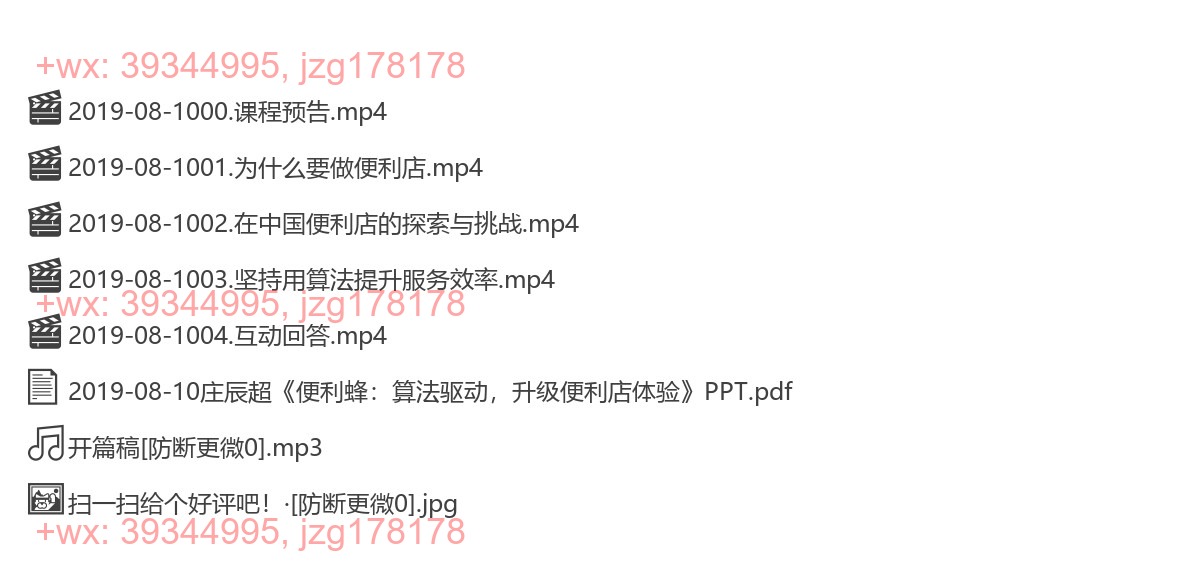 2019-08-10庄辰超《便利蜂：算法驱动，升级便利店体验》 screenshot