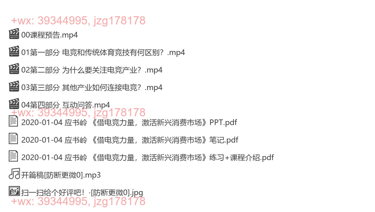 2020-01-04 应书岭 《借电竞力量，激活新兴消费市场》 screenshot