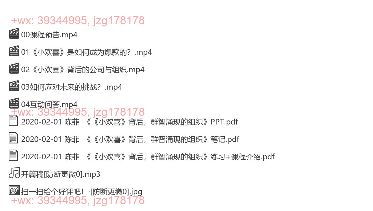 2020-02-01 陈菲  《《小欢喜》背后，群智涌现的组织》 screenshot
