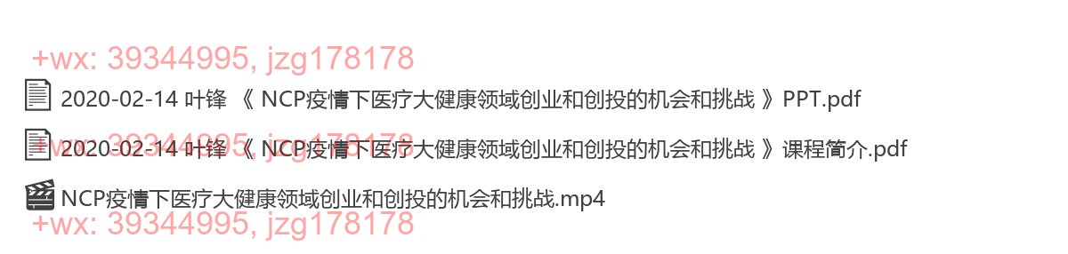 2020-02-14 叶锋  《 NCP疫情下医疗大健康领域创业和创投的机会和挑战 》 screenshot