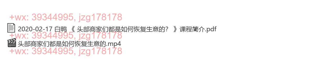2020-02-17 白鸭 《 头部商家们都是如何恢复生意的？ 》 screenshot