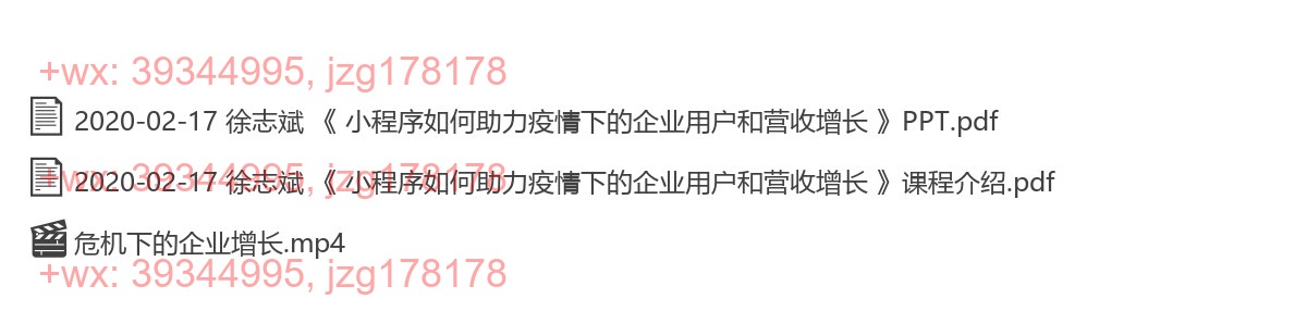 2020-02-17 徐志斌 《 小程序如何助力疫情下的企业用户和营收增长 》 screenshot