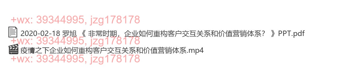 2020-02-18 罗旭 《 非常时期，企业如何重构客户交互关系和价值营销体系？ 》 screenshot