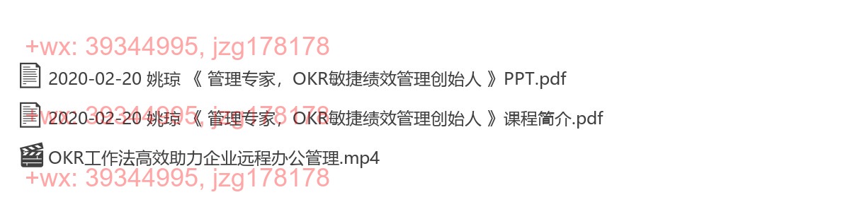 2020-02-20 姚琼 《 管理专家，OKR敏捷绩效管理创始人 》 screenshot