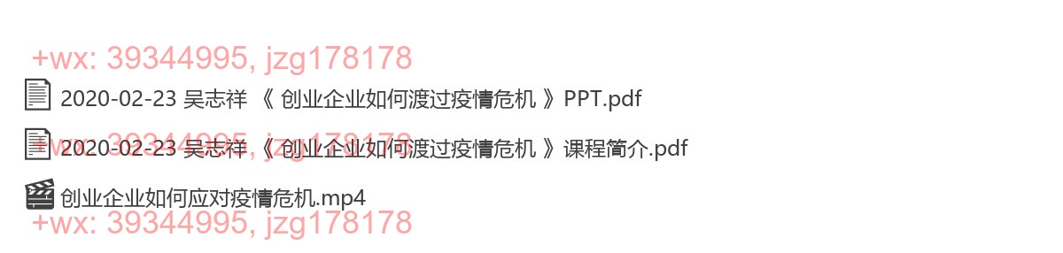 2020-02-23 吴志祥 《 创业企业如何渡过疫情危机 》 screenshot