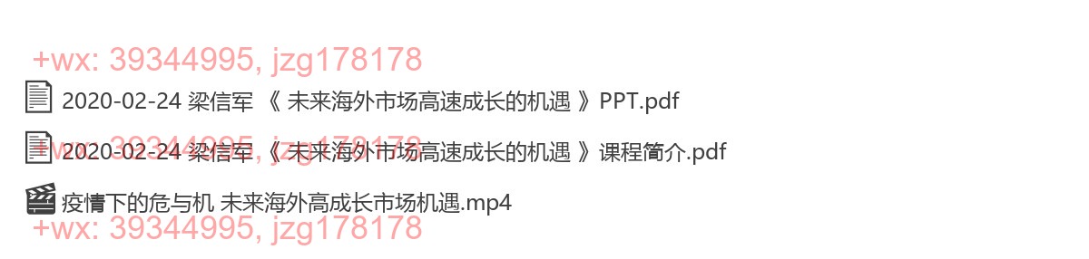 2020-02-24 梁信军 《 未来海外市场高速成长的机遇 》 screenshot