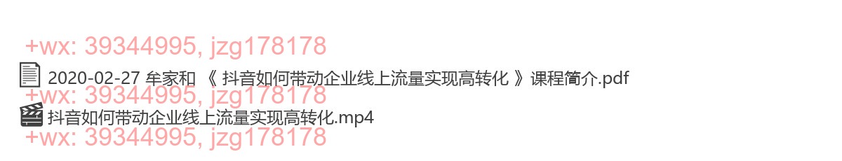2020-02-27 牟家和 《 抖音如何带动企业线上流量实现高转化 》 screenshot