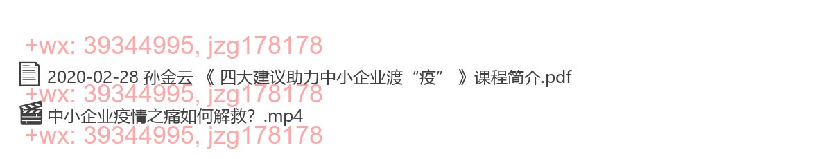 2020-02-28 孙金云 《 四大建议助力中小企业渡“疫” 》 screenshot