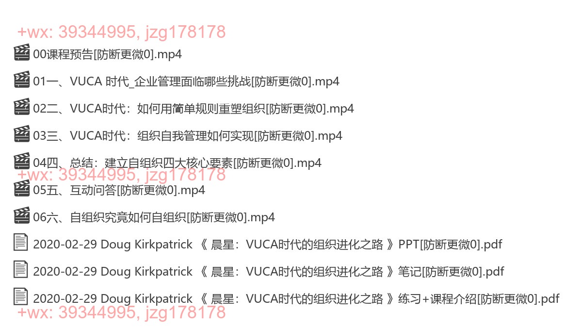 2020-02-29 Doug Kirkpatrick 《 晨星：VUCA时代的组织进化之路 》 screenshot