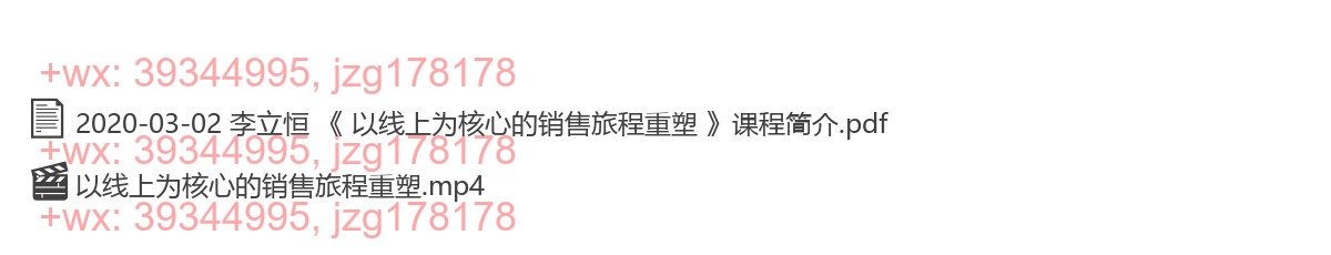 2020-03-02 李立恒 《 以线上为核心的销售旅程重塑 》 screenshot