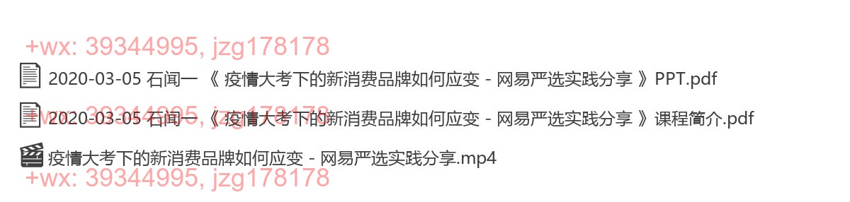 2020-03-05 石闻一 《 疫情大考下的新消费品牌如何应变 - 网易严选实践分享 》 screenshot