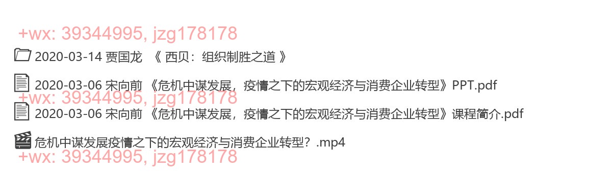 2020-03-06 宋向前 《 危机中谋发展，疫情之下的宏观经济与消费企业转型 》 screenshot