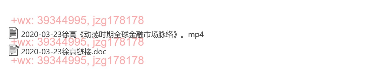 2020-03-23徐高《动荡时期全球金融市场脉络》 screenshot