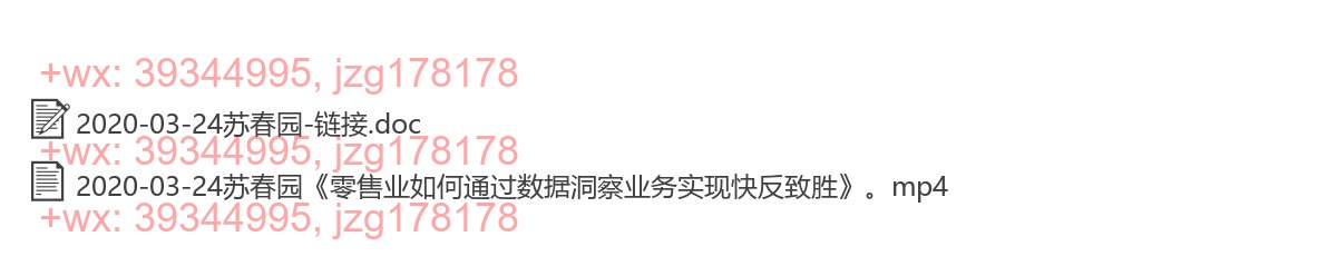 2020-03-24苏春园《零售业如何通过数据洞察业务实现快反致胜》 screenshot