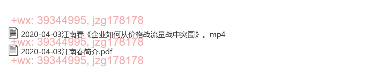 2020-04-03江南春《企业如何从价格战流量战中突围》 screenshot