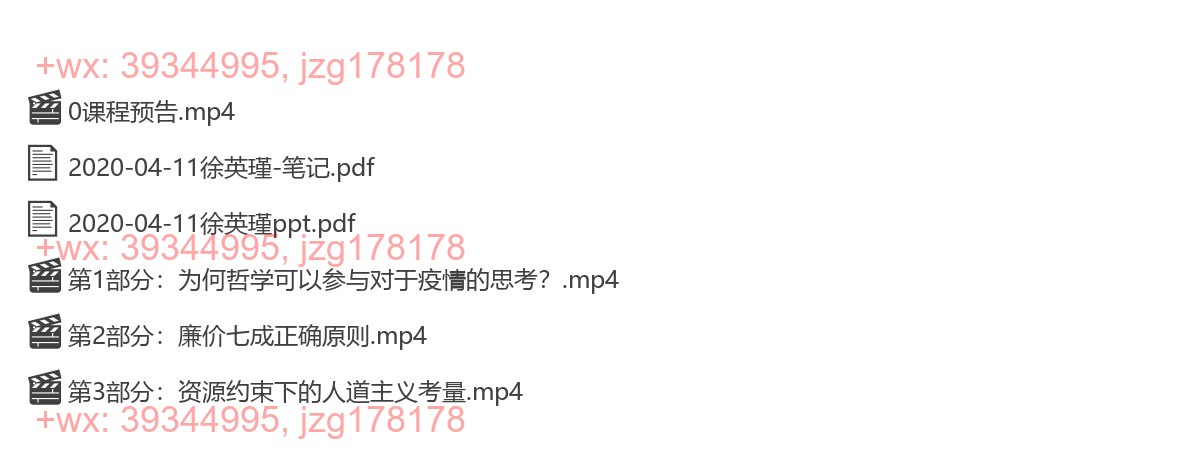 2020-04-11徐英瑾《哲学思维，如何助力疫情后的灰度决策？》 screenshot