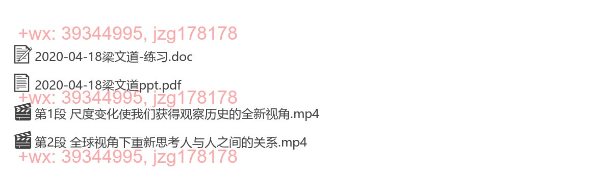 2020-04-18梁文道《尺度的变化与思考方式的重塑》 screenshot