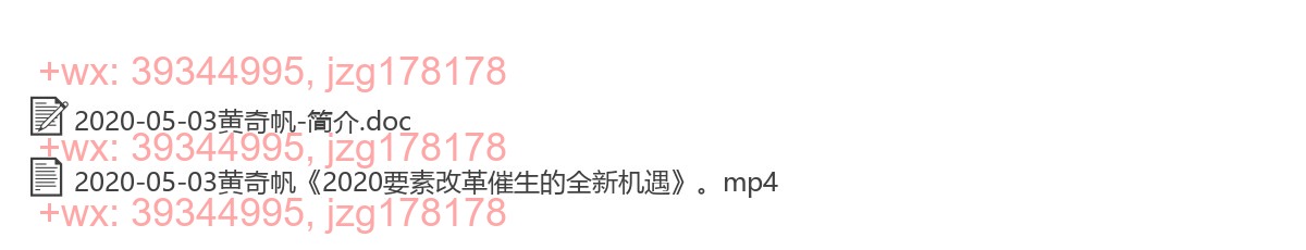 2020-05-03黄奇帆《2020要素改革催生的全新机遇》 screenshot
