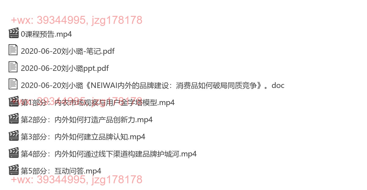 2020-06-20刘小璐《NEIWAI内外的品牌建设：消费品如何破局同质竞争》 screenshot
