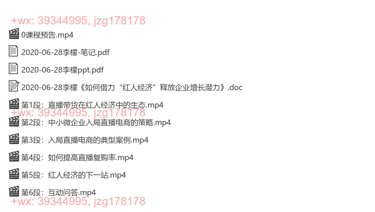 2020-06-28李檬《如何借力“红人经济”释放企业增长潜力》 screenshot