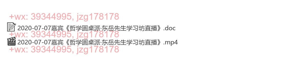 2020-07-07嘉宾《哲学圆桌派·东岳先生学习坊直播》 screenshot