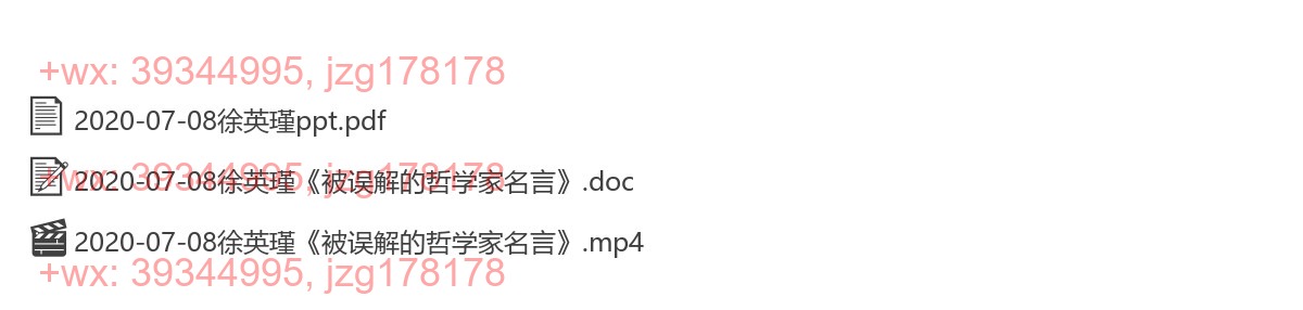 2020-07-08徐英瑾《被误解的哲学家名言》 screenshot
