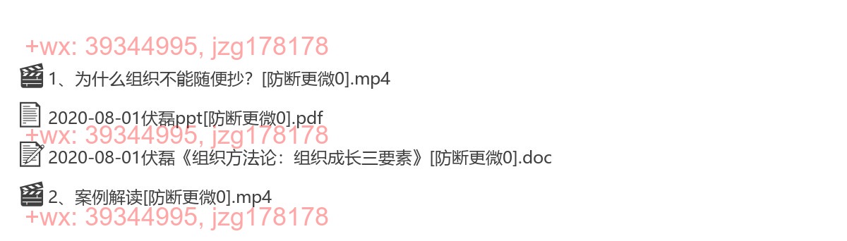 2020-08-01伏磊《组织方法论：组织成长三要素》 screenshot