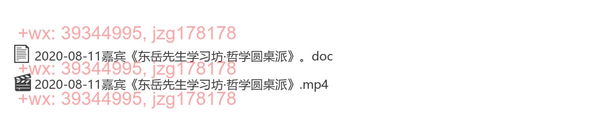 2020-08-11嘉宾《东岳先生学习坊·哲学圆桌派》 screenshot