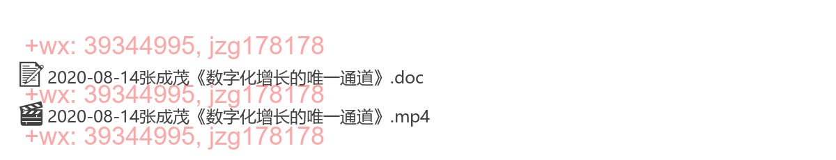 2020-08-14张成茂《数字化增长的唯一通道》 screenshot