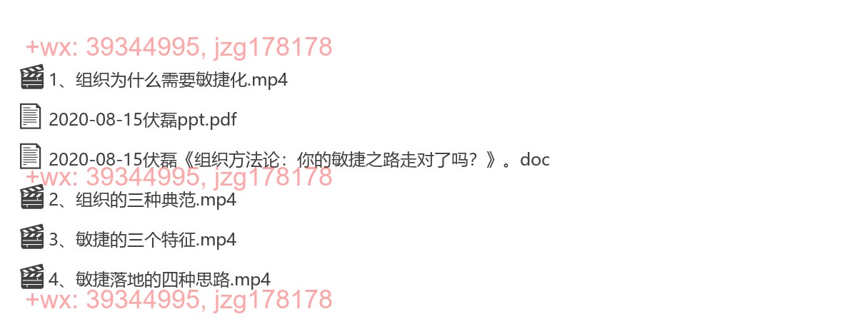 2020-08-15伏磊《组织方法论：你的敏捷之路走对了吗？》 screenshot