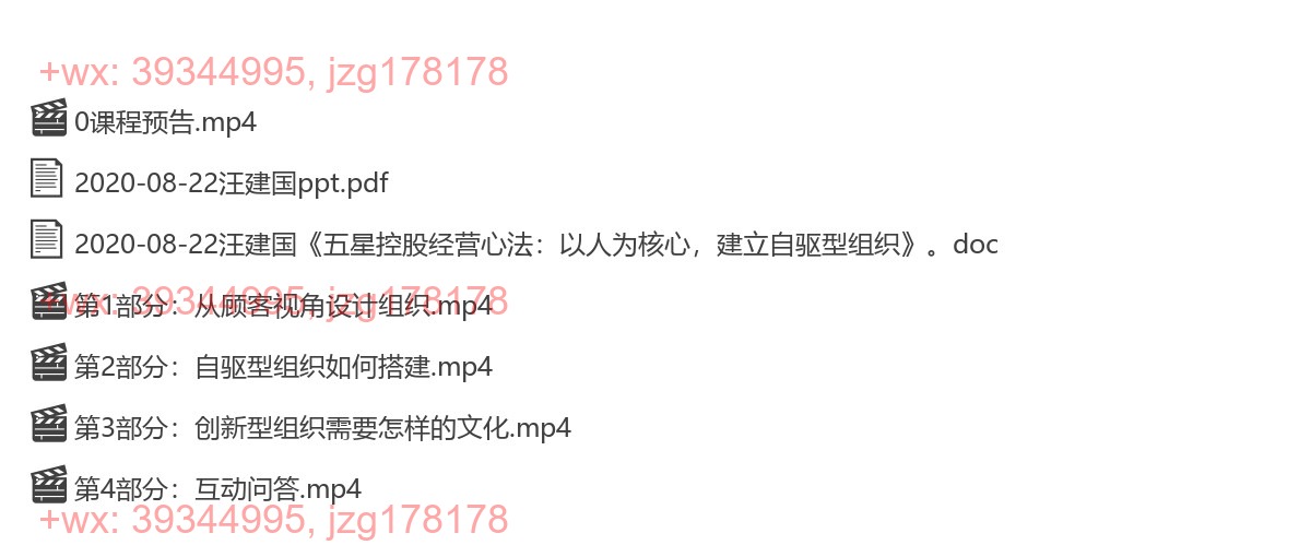 2020-08-22汪建国《五星控股经营心法：以人为核心，建立自驱型组织》 screenshot