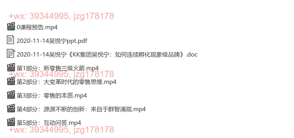 2020-11-14吴悦宁《KK集团吴悦宁：如何连续孵化现象级品牌》 screenshot