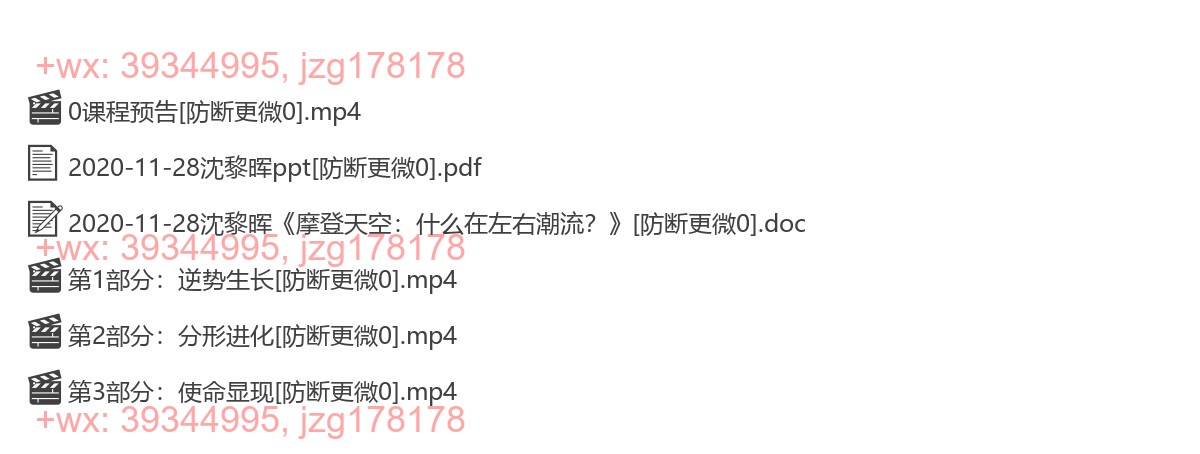 2020-11-28沈黎晖《摩登天空：什么在左右潮流？》 screenshot