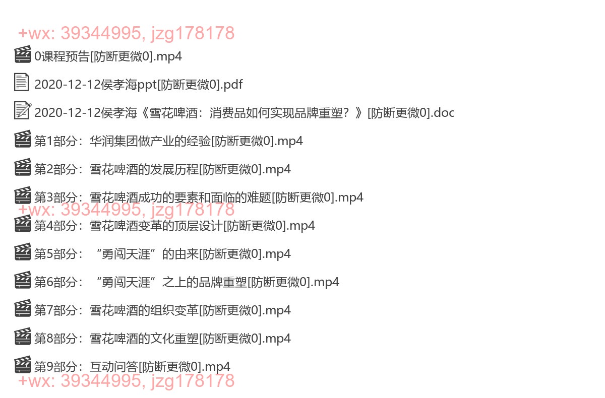2020-12-12侯孝海《雪花啤酒：消费品如何实现品牌重塑？》 screenshot