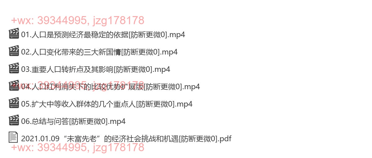 2021.01.09“未富先老”的经济社会挑战和机遇 screenshot