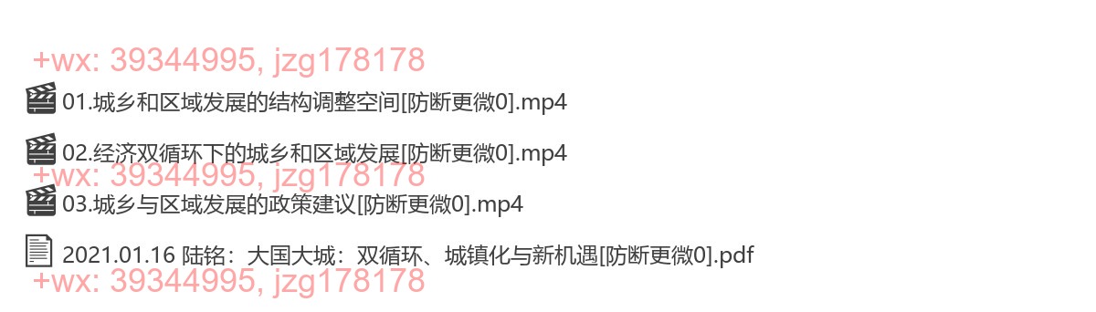 2021.01.16 陆铭：大国大城：双循环、城镇化与新机遇 screenshot