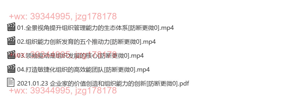 2021.01.23 企业家的价值创造和组织能力的创新 screenshot