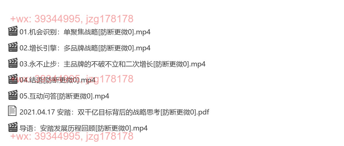 2021.04.17 安踏：双千亿目标背后的战略思考 screenshot